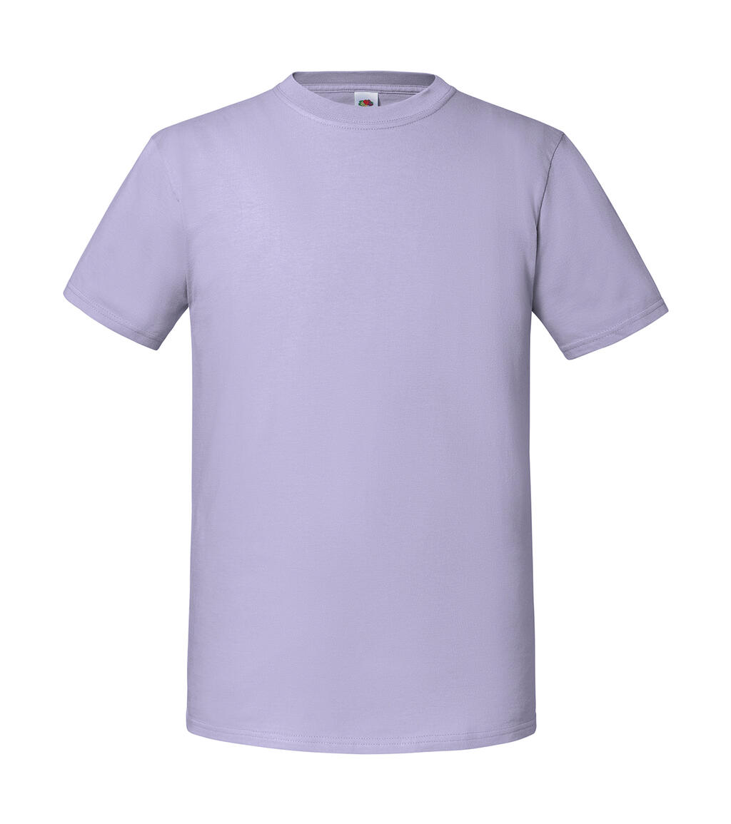 Soft Lavender