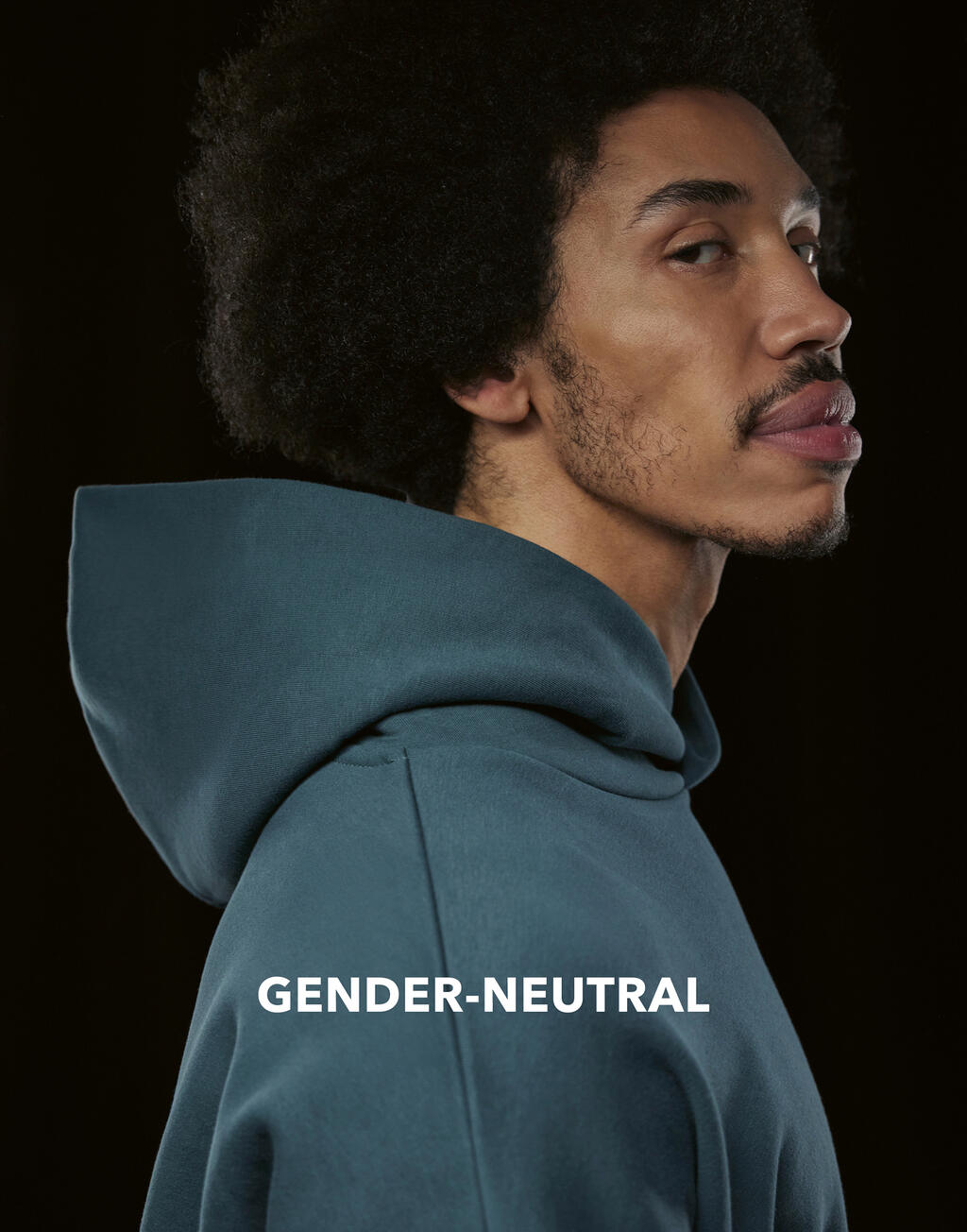 Influence Hoodie - Vue 3
