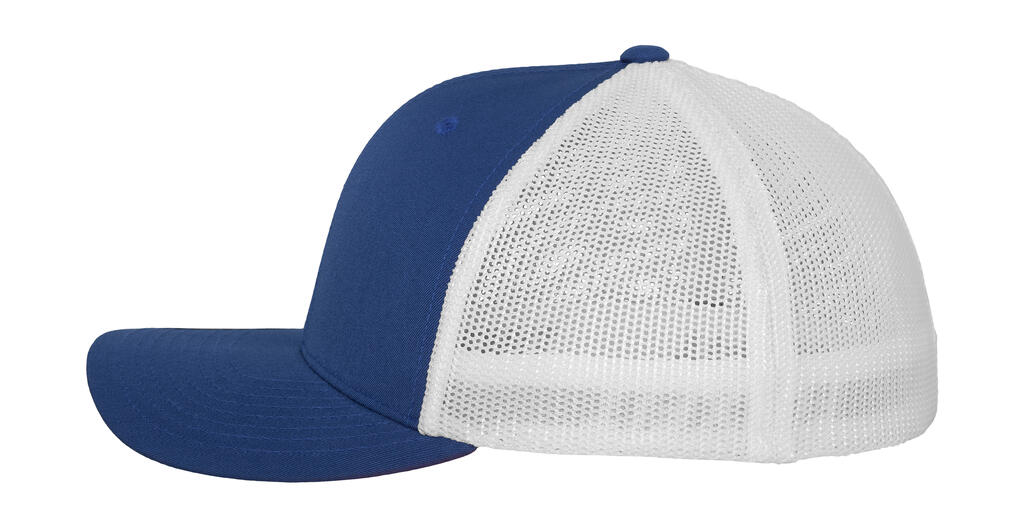 Mesh Trucker 2-Tone Cap - Vue 4