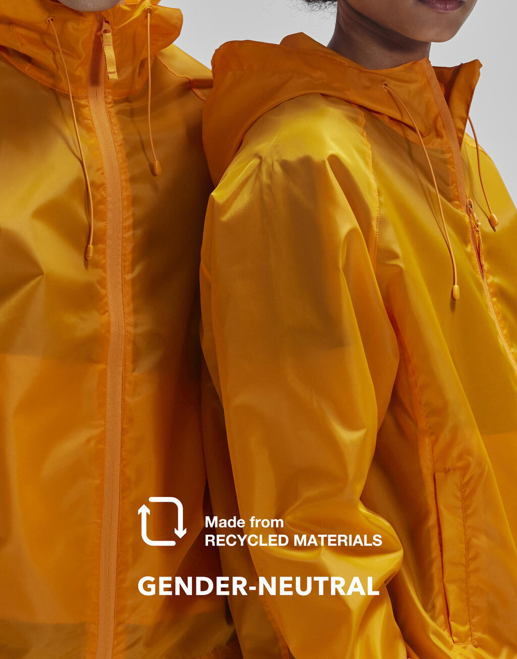 #Reset Windbreaker - Vue 3