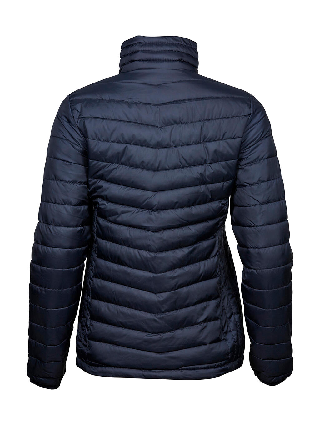 Ladies Zepelin Jacket - Vue 4