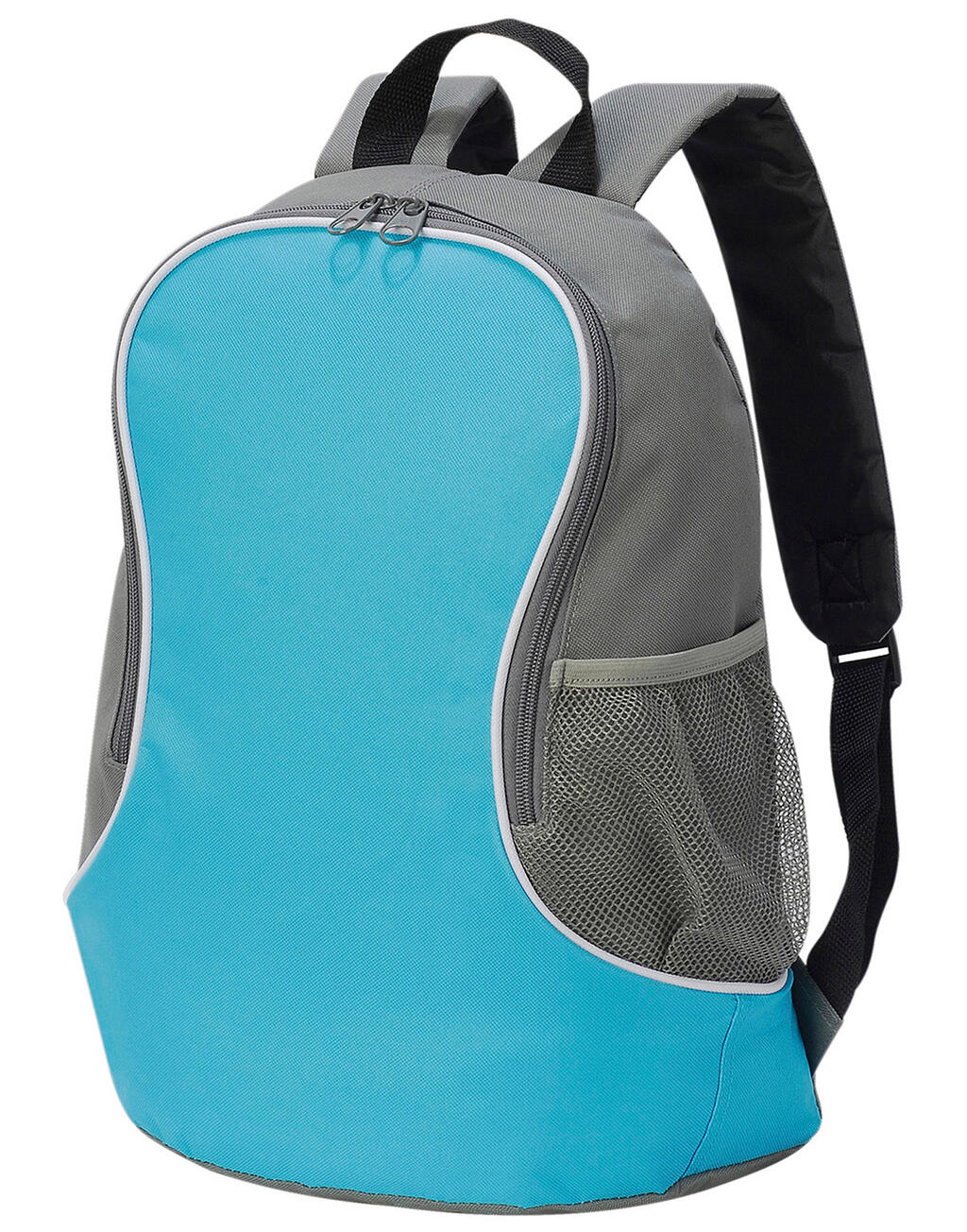 Fuji Basic Backpack - Vue 2