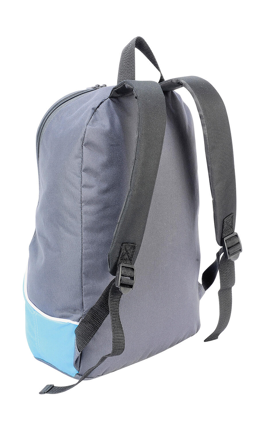 Fuji Basic Backpack - Vue 4