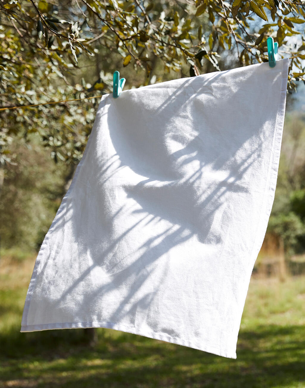 Tea Towel