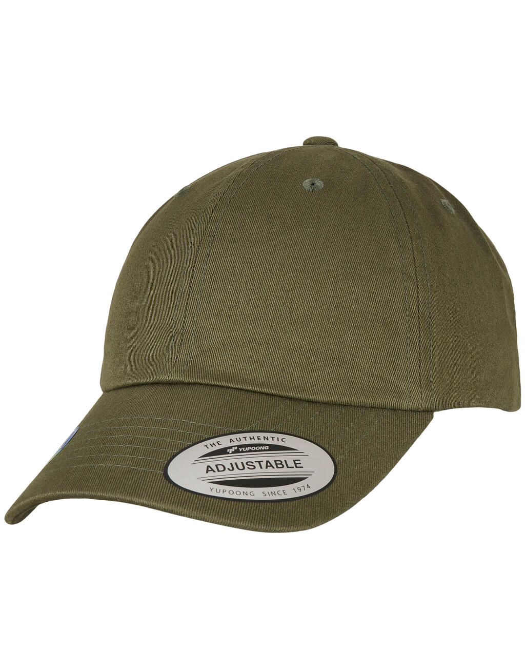 Ecowash Dad Cap - Vue 3