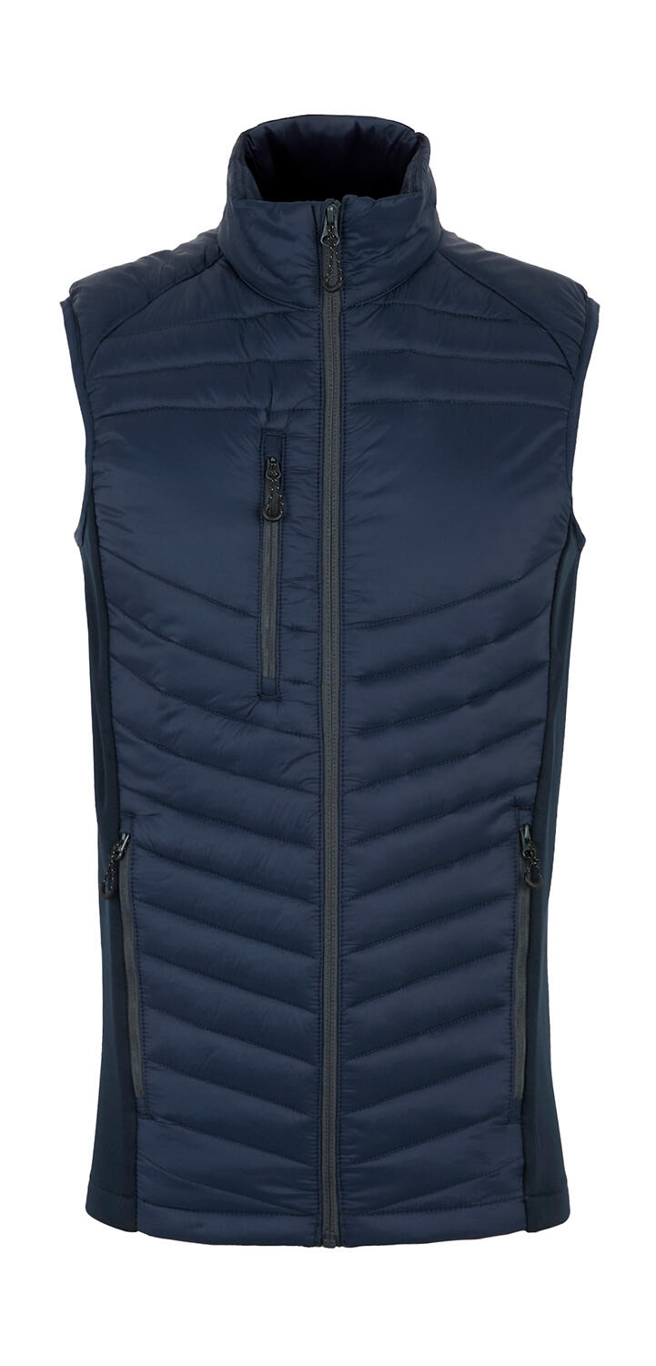 Navy/Seal Grey