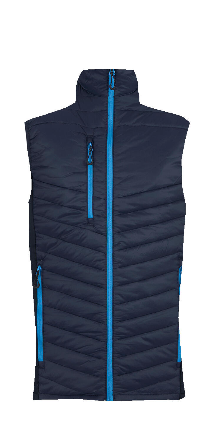 Navy/French Blue