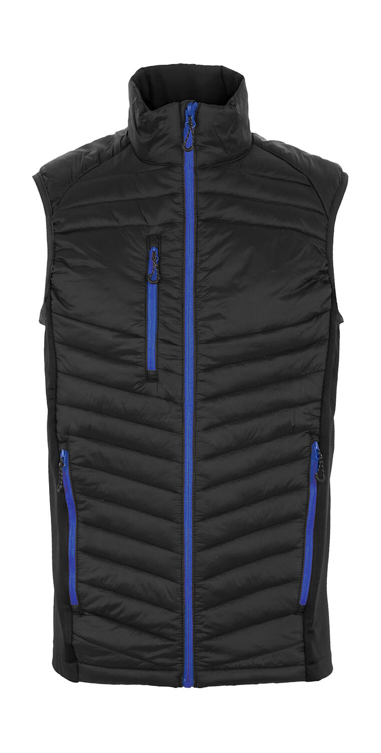 Black/New Royal