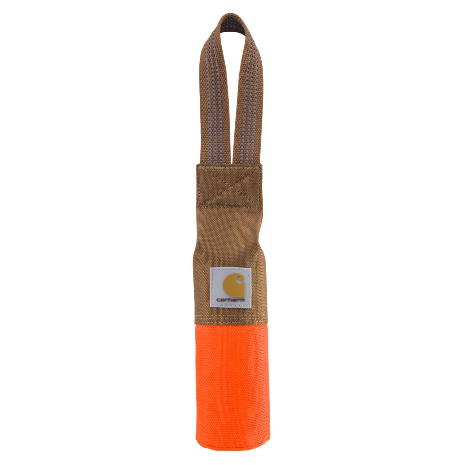 Training Dog Retrieving Bumper